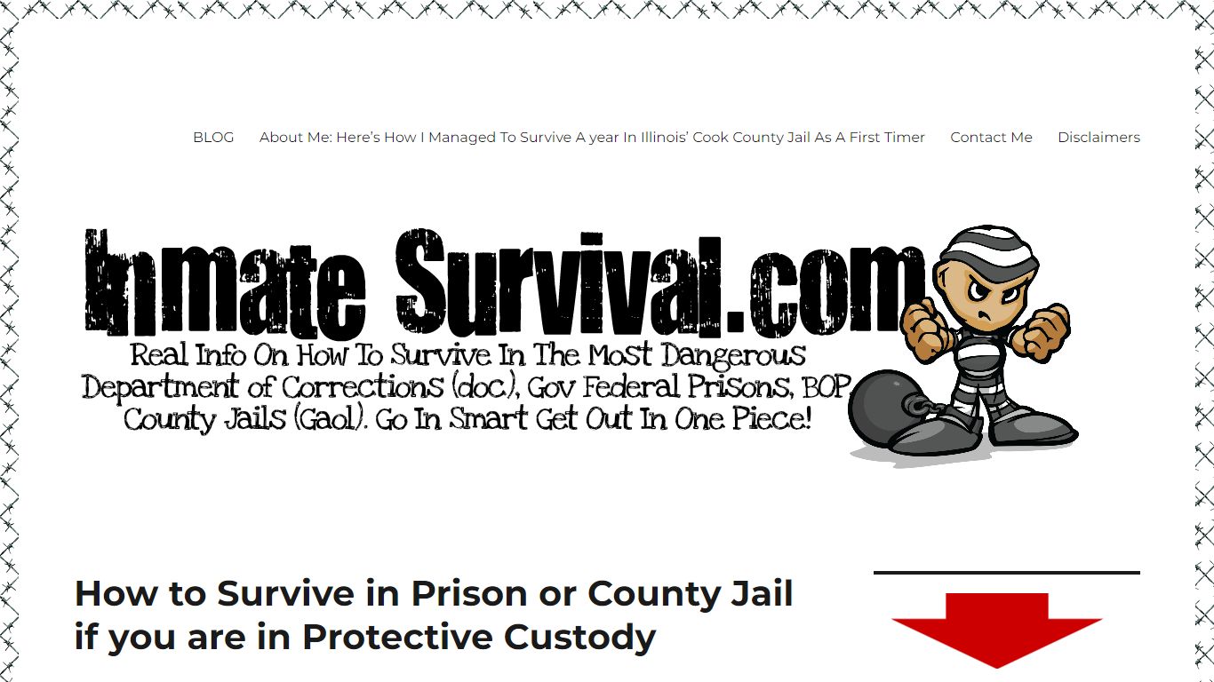 How to Survive in Prison or County Jail if you are in Protective ...